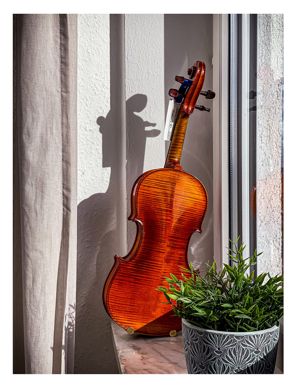 AGAPE Violine #98 AP