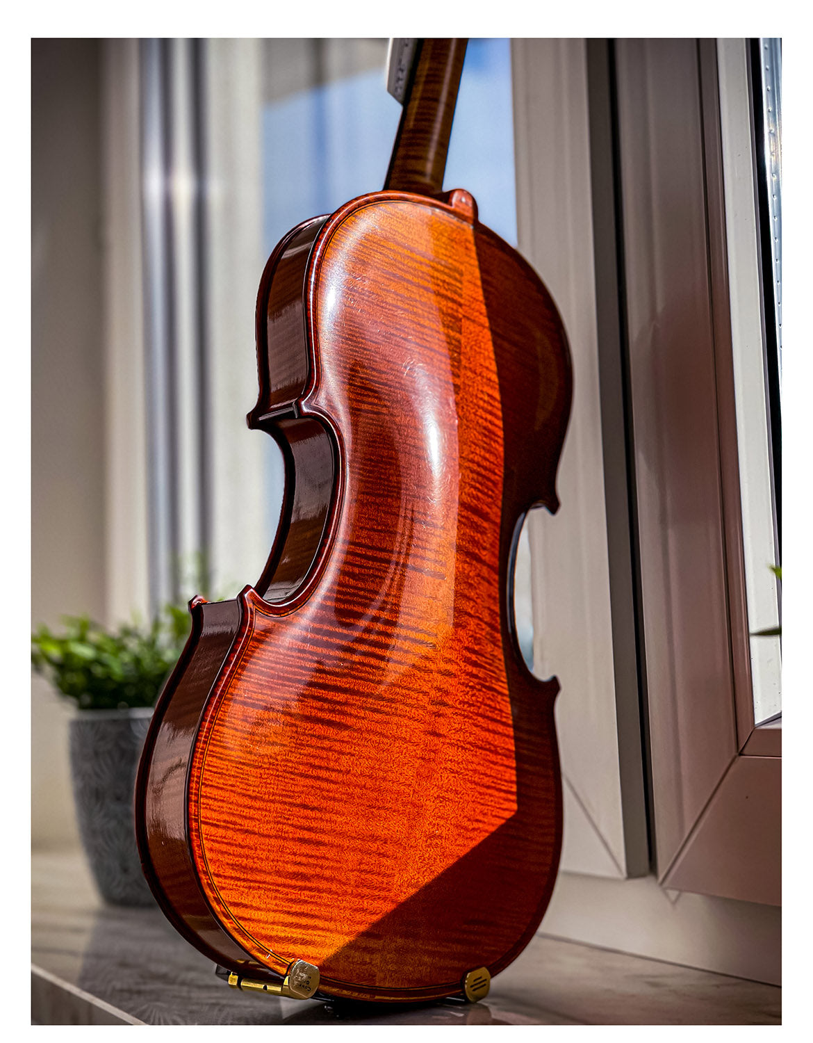 AGAPE Violine #98 AP