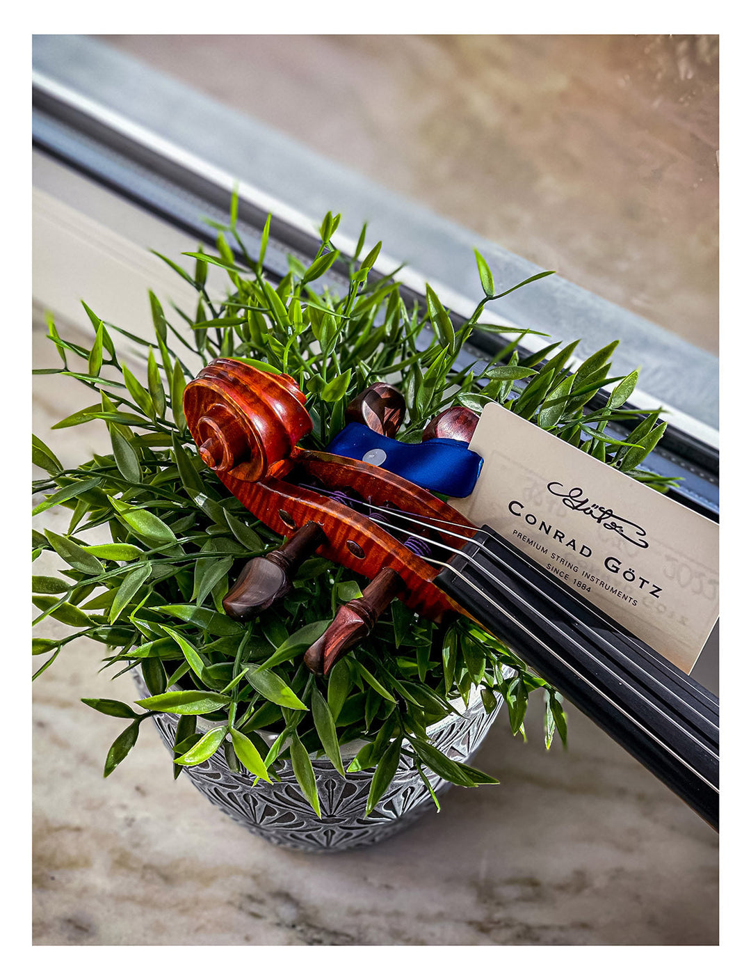 AGAPE Violine 