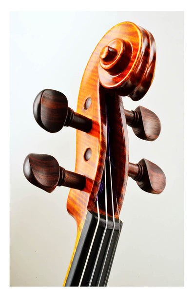 AGAPE Violine #98 AP