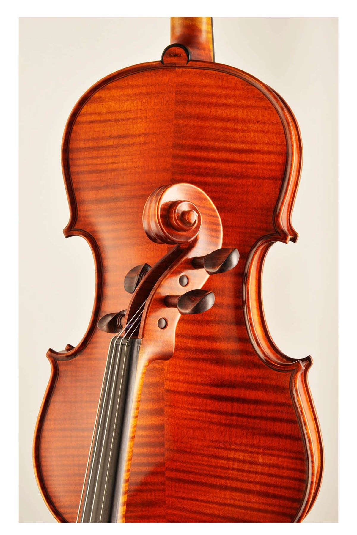 AGAPE Violine #98 AP