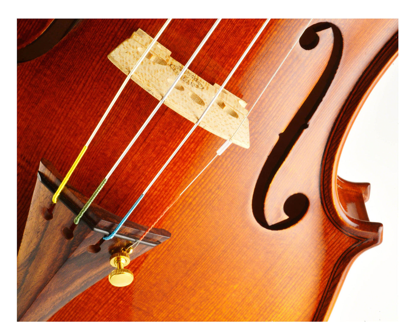 AGAPE Violine #98 AP