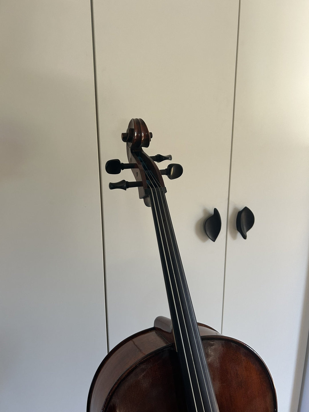 CONRAD GÖTZ Cello 