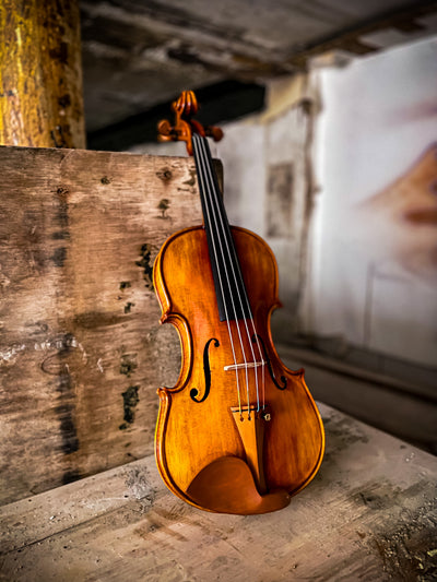 CANTONATE Violin #140 CA