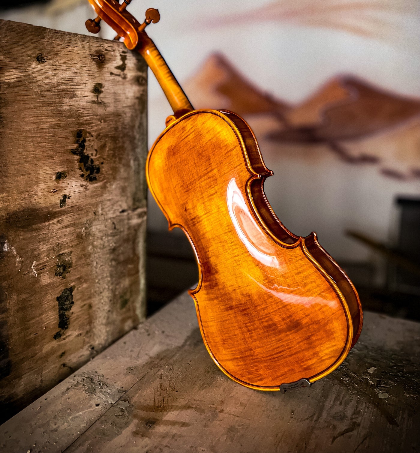 CANTONATE Violin #125F CA