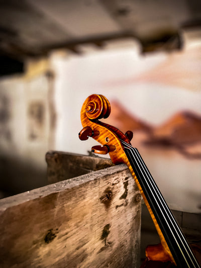 CANTONATE Violin #123 CA