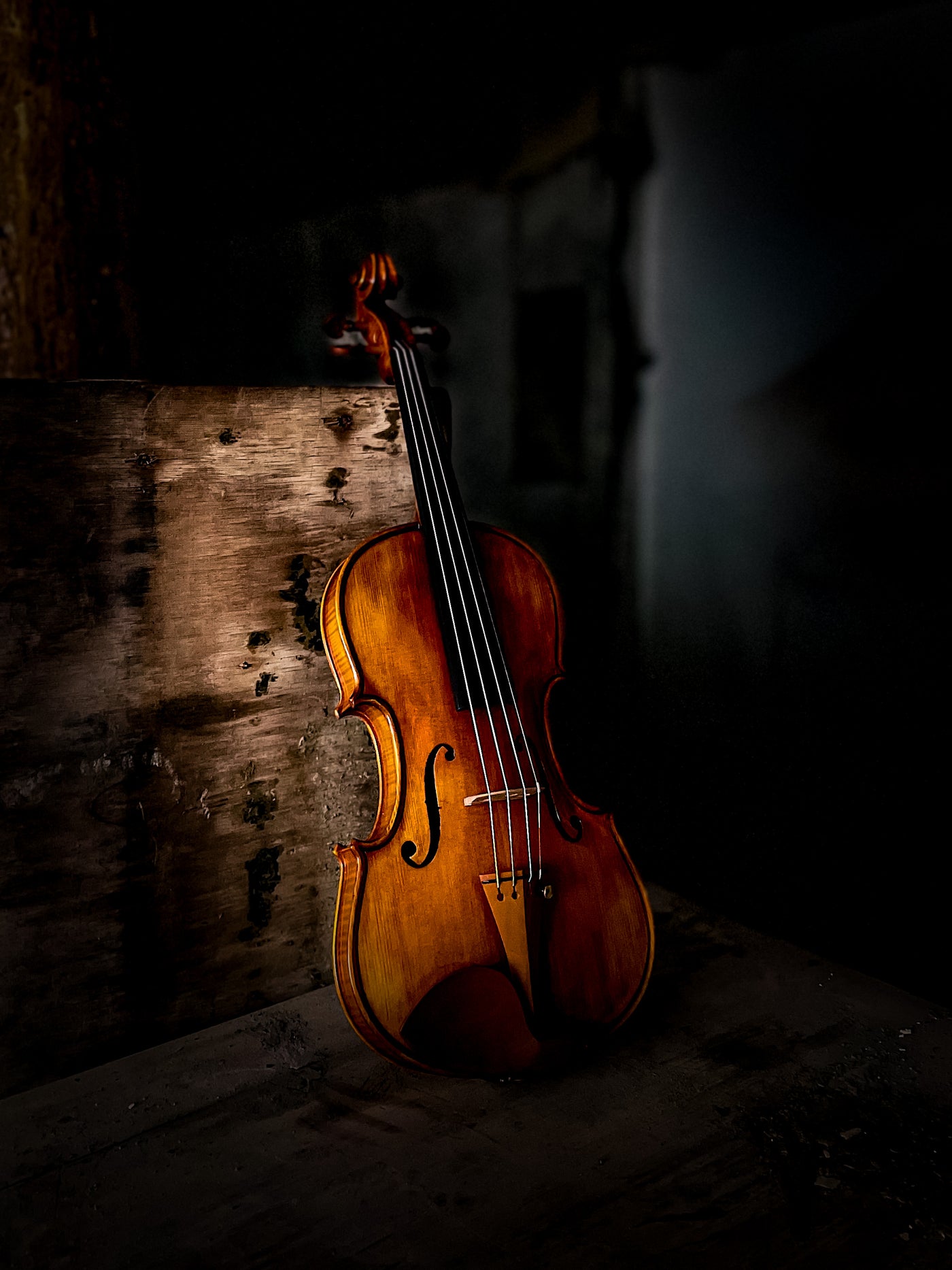 CANTONATE Violin #123 CA