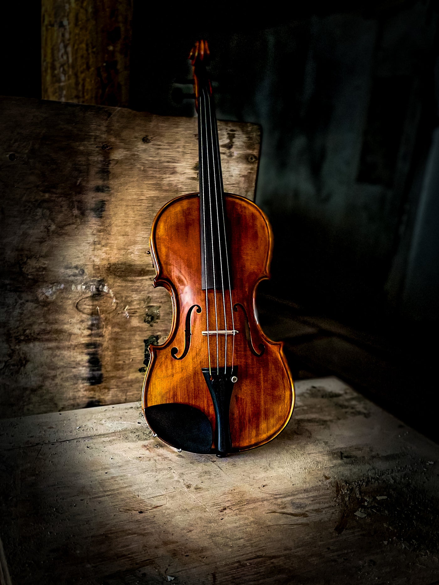 ❤ CONTEMPORARY Violine mit ganzem Boden #125F CT