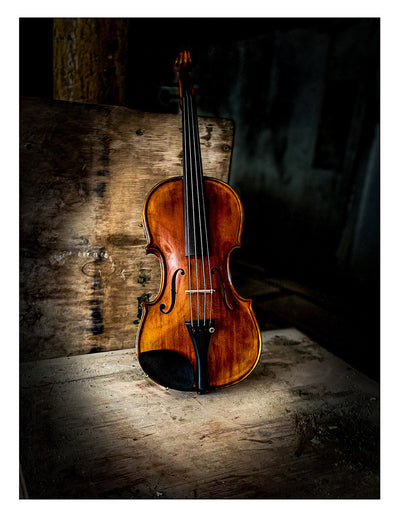 CONTEMPORARY Violin #123 CT