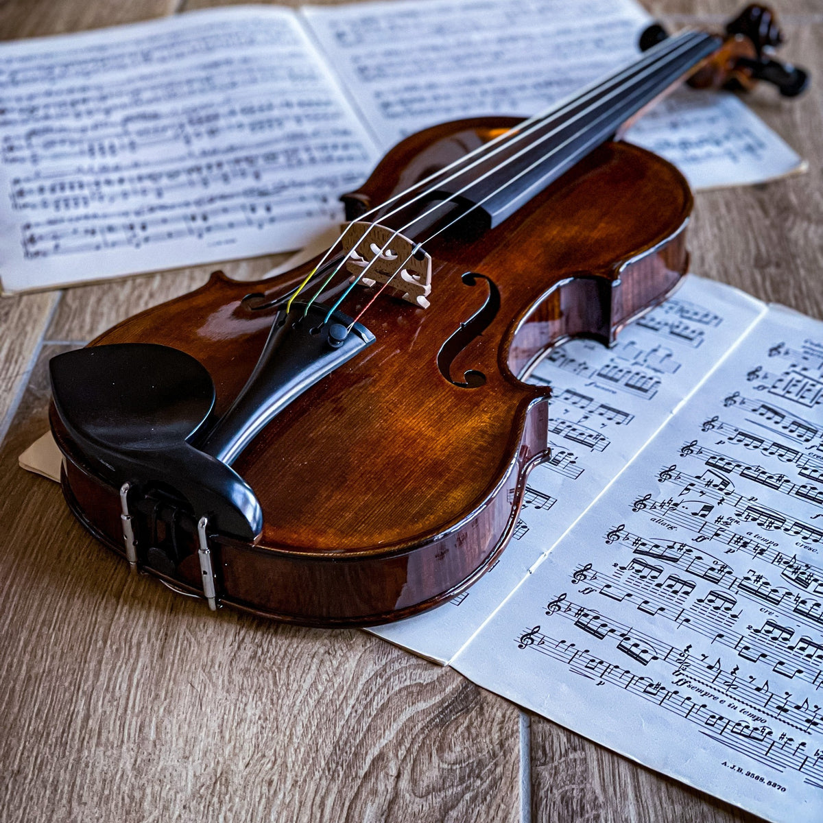 Conrad Götz Violine #123BO Signature 4/4, CG*123BO-S-4_4