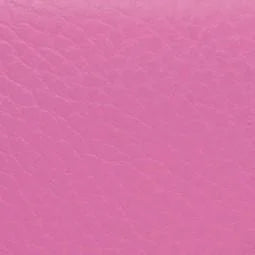 BAM ET2002XL L’Étoile Hightech Contoured Violinen Etui