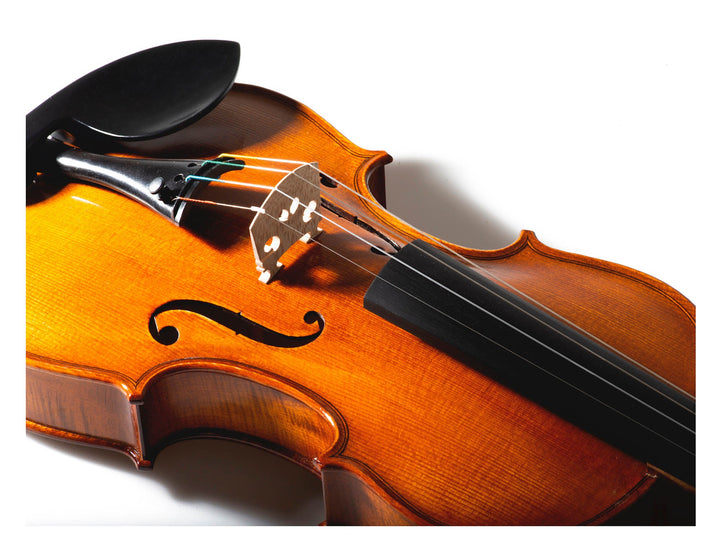 Schwarzer Feinstimmer für Violine