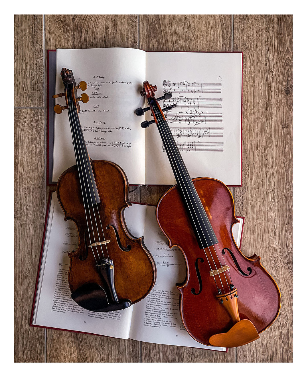 Guarneri Kinnhalter Violine Ebenholz