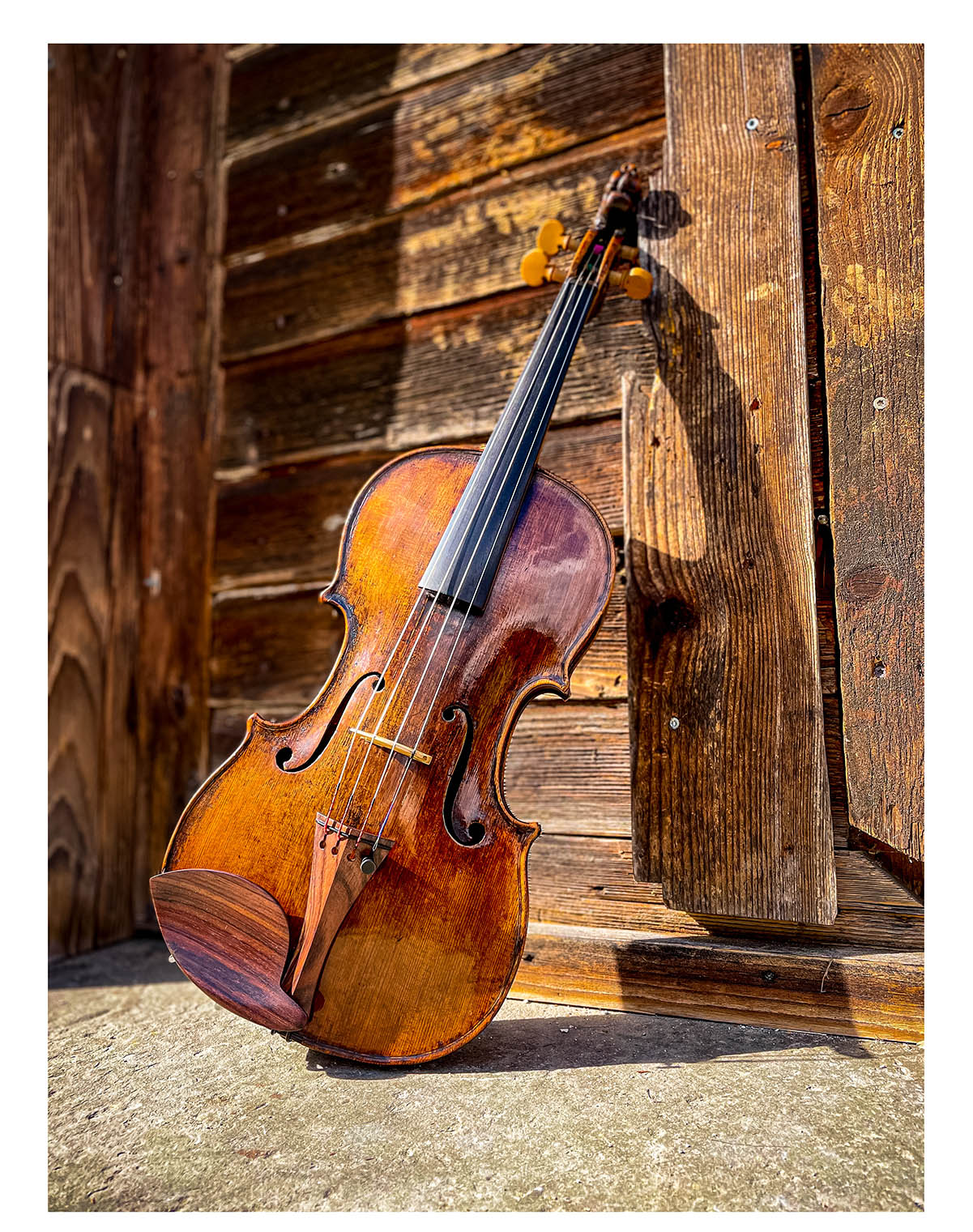 Saitenhalter Violine Palisander