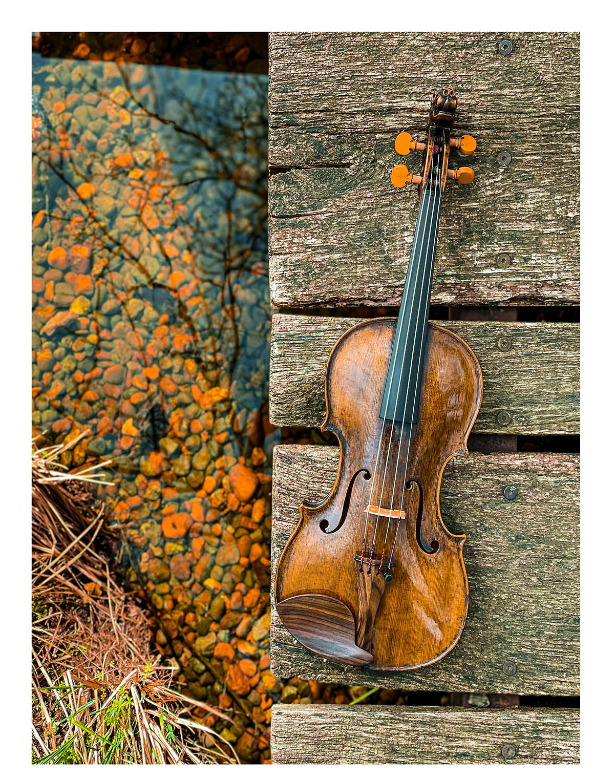 Saitenhalter Violine Palisander