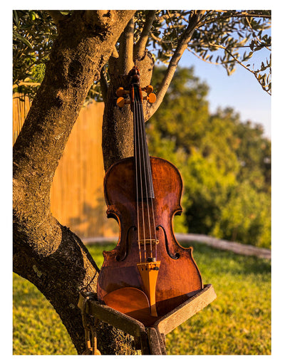 Saitenhalter Violine Buchsbaum, englisches Modell, ZA-5294-115