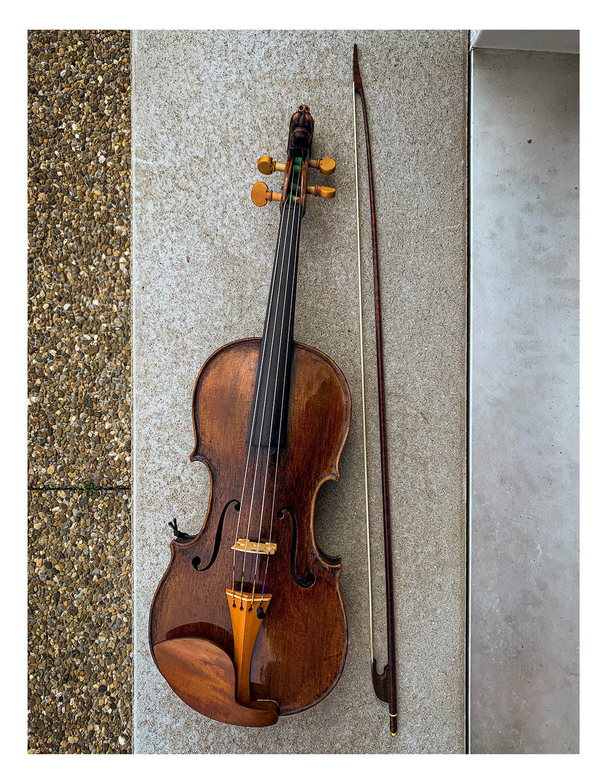 Saitenhalter Violine Buchsbaum, englisches Modell, ZA-5294-115
