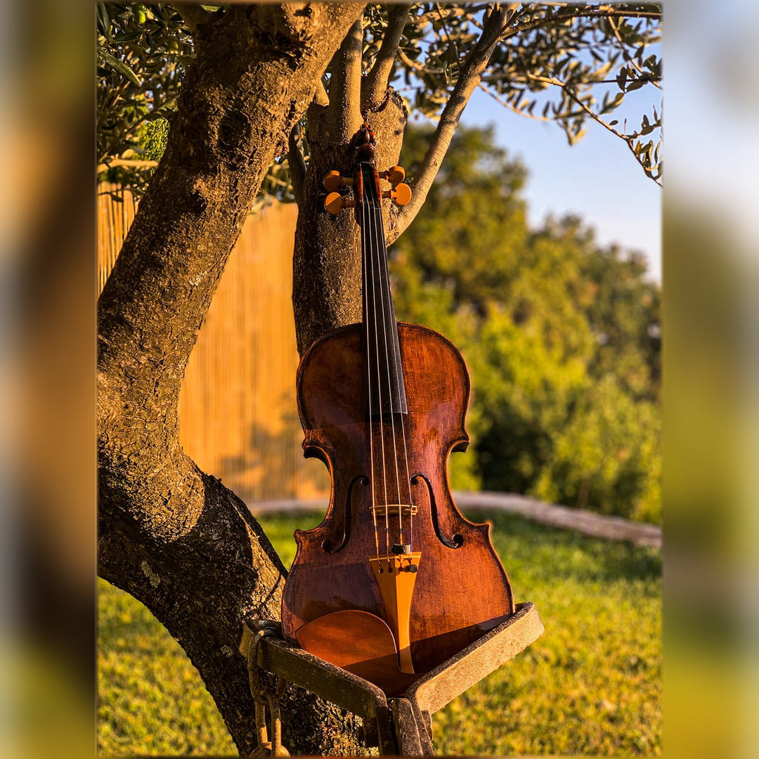 Tailpiece Violin Boxwood, English Model,  ZA-5294-115