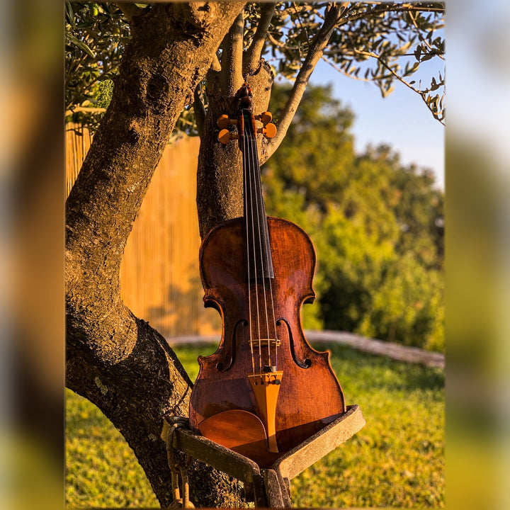 Tailpiece Violin Boxwood, English Model,  ZA-5294-115