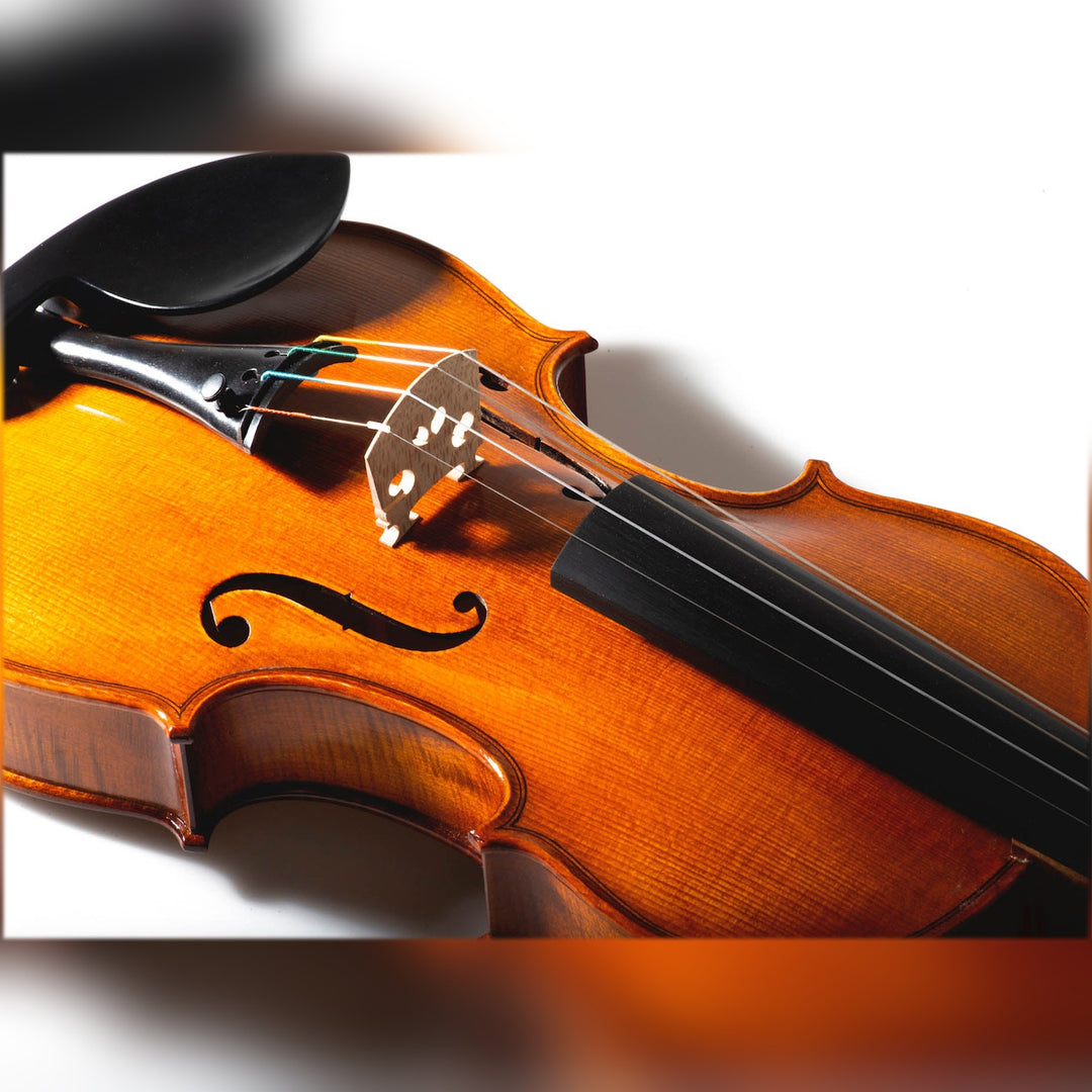Schwarzer Feinstimmer für Violine, ZF-6807
