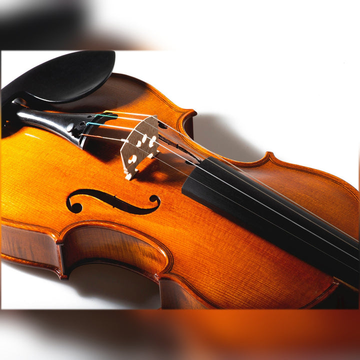Schwarzer Feinstimmer für Violine, ZF-6807