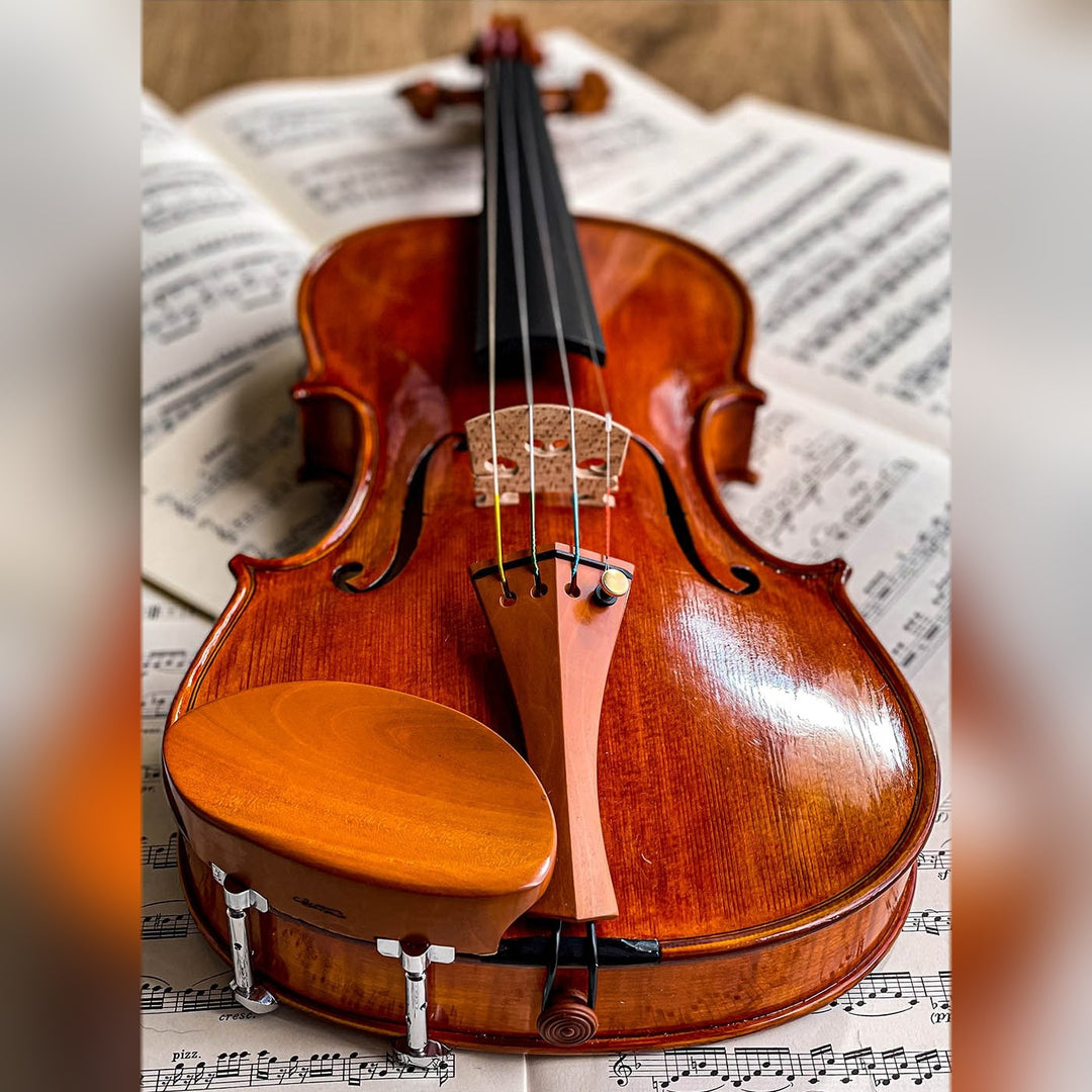 Gordon Kinnhalter Violine Buchsbaum, ZK-1572