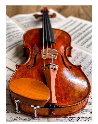 Gordon Kinnhalter Violine Buchsbaum, ZK-1572