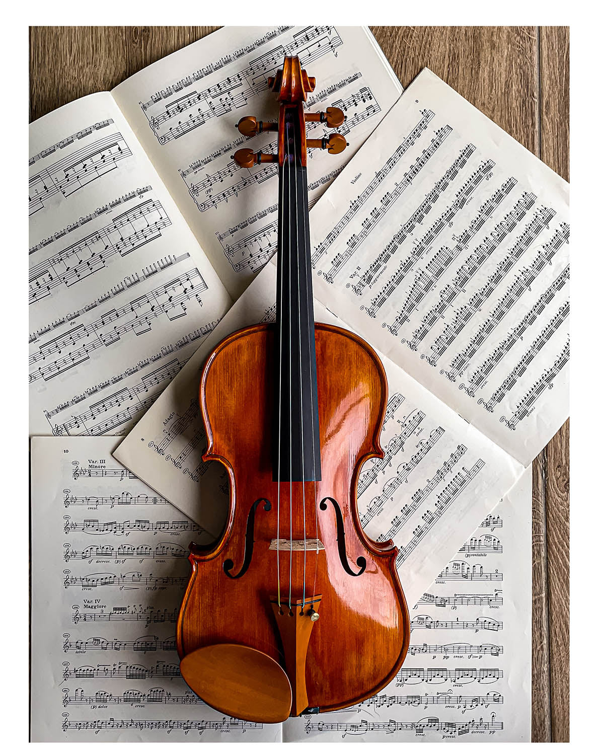 Gordon Kinnhalter Violine Buchsbaum, ZK-1572