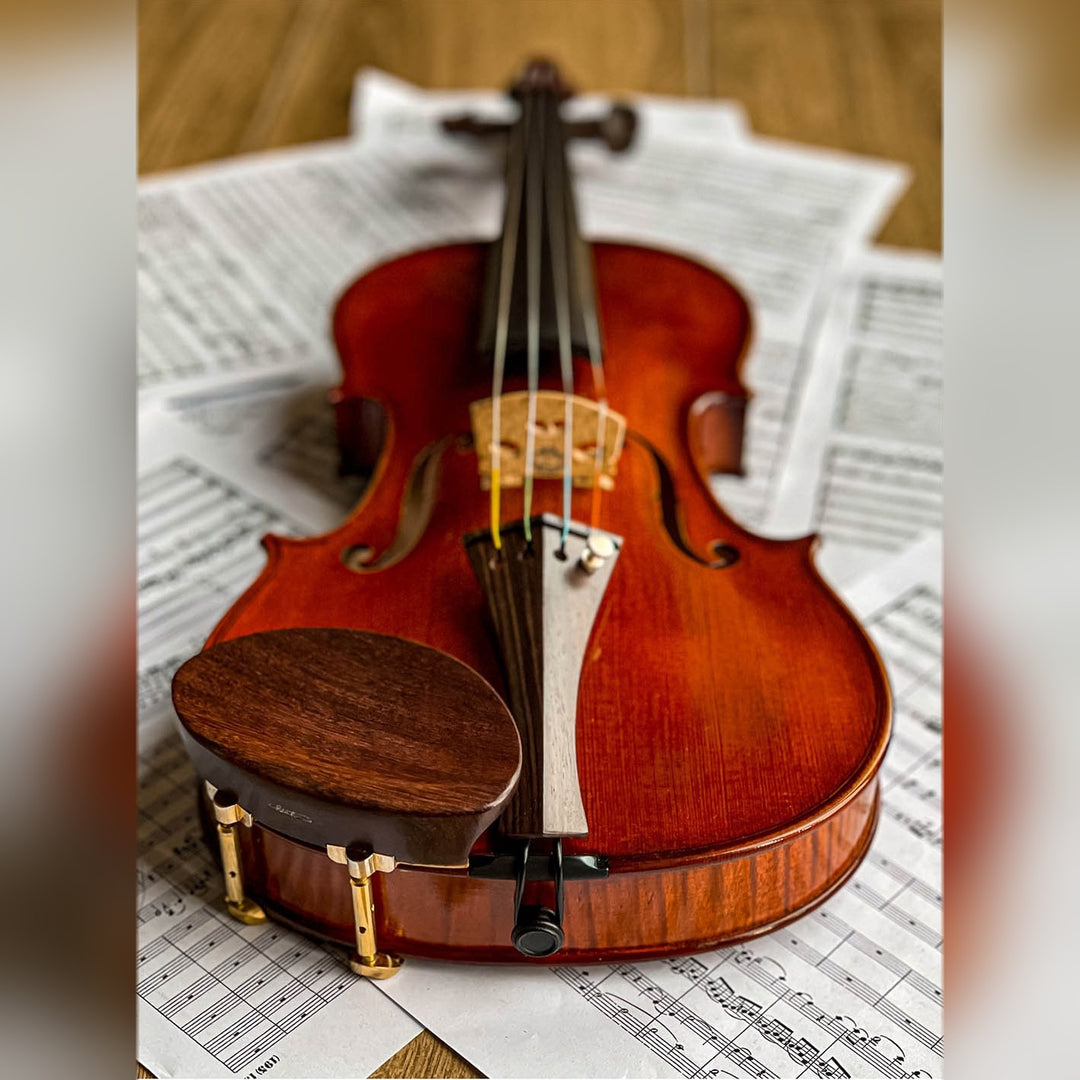 Gordon Kinnhalter Violine Palisander, ZK-1573G
