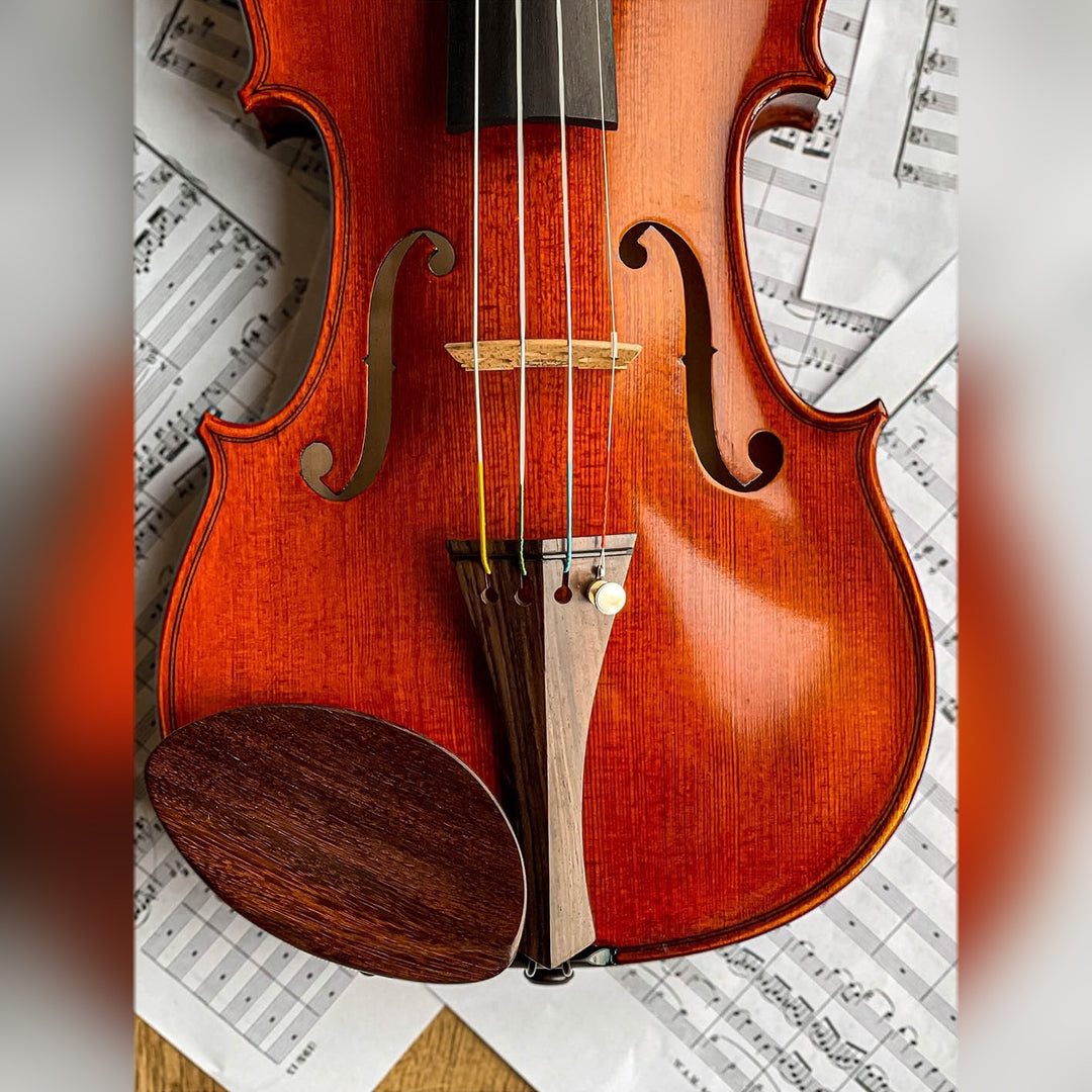Gordon Kinnhalter Violine Palisander, ZK-1573G