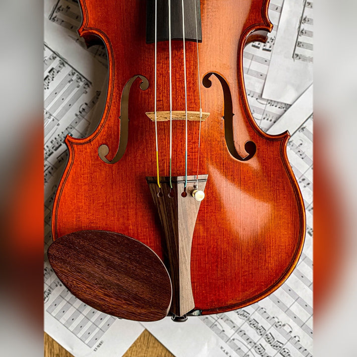 Gordon Kinnhalter Violine Palisander, ZK-1573G