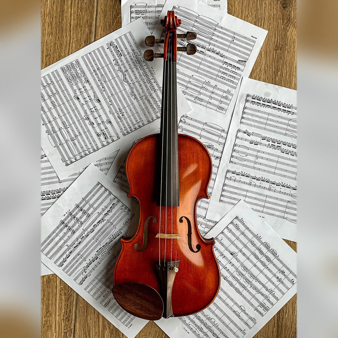 Gordon Kinnhalter Violine Palisander, ZK-1573G