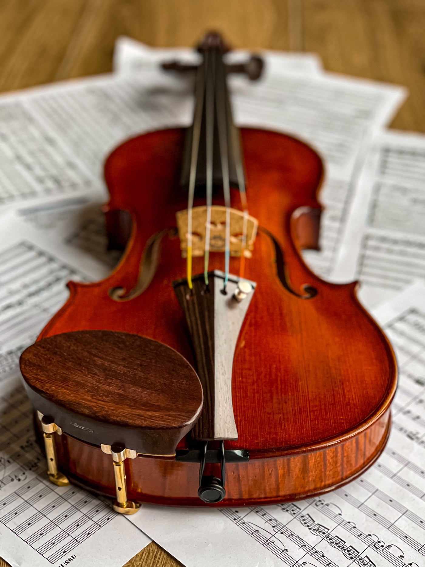 AGAPE Violin #110 AP