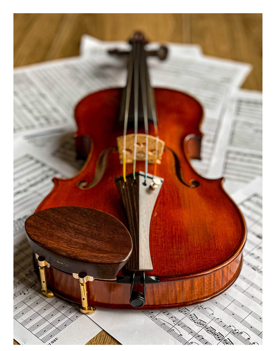 Gordon Kinnhalter Violine Palisander, ZK-1573G