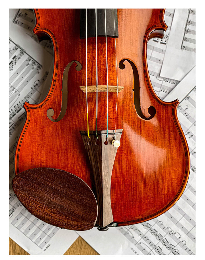 Gordon Kinnhalter Violine Palisander, ZK-1573G