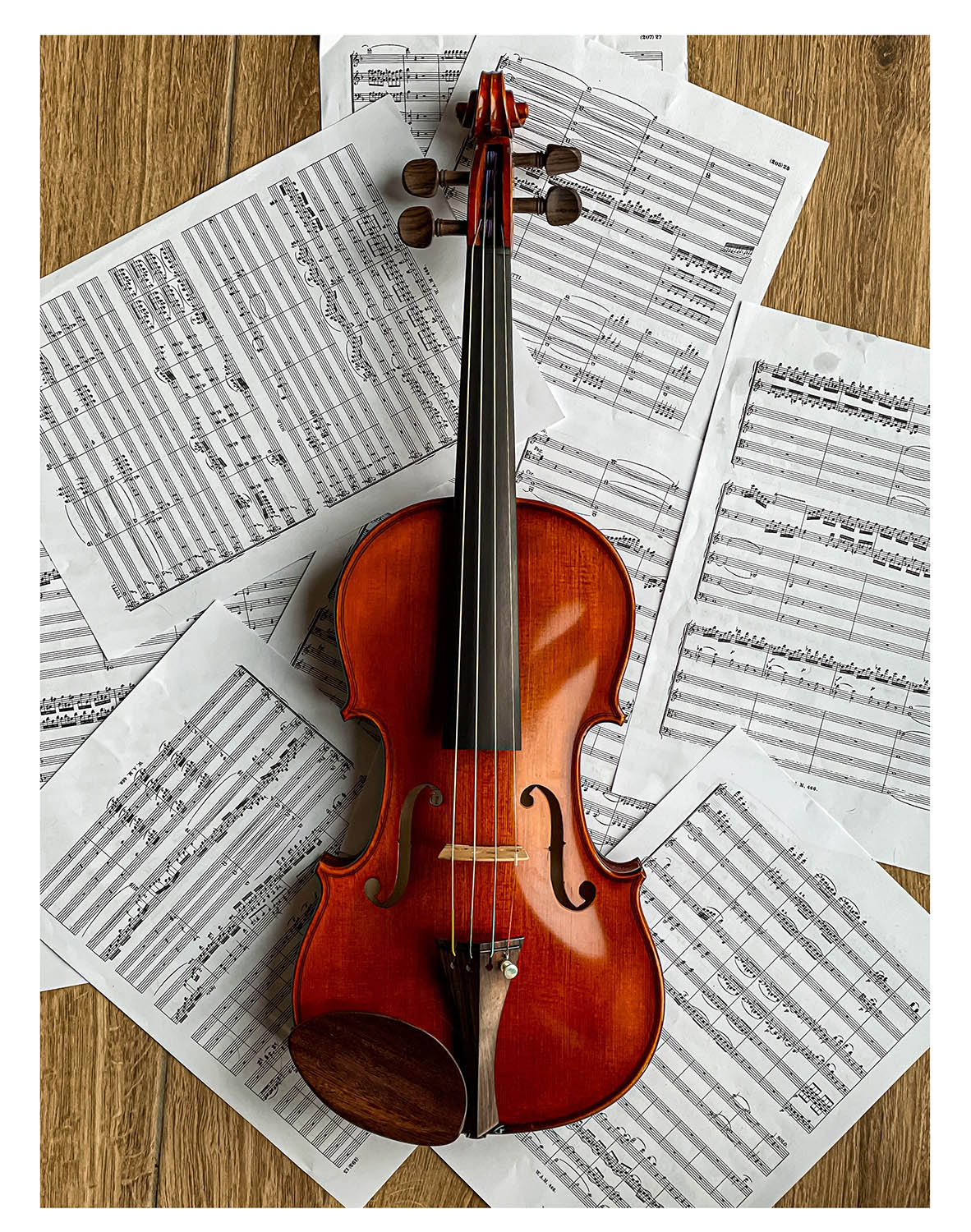 Gordon Chinrest Violin 4/4 in Rosewood, ZK-1573G