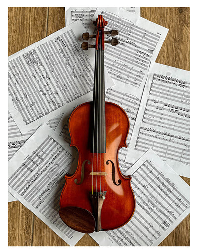 Gordon Chinrest Violin 4/4 in Rosewood, ZK-1573G