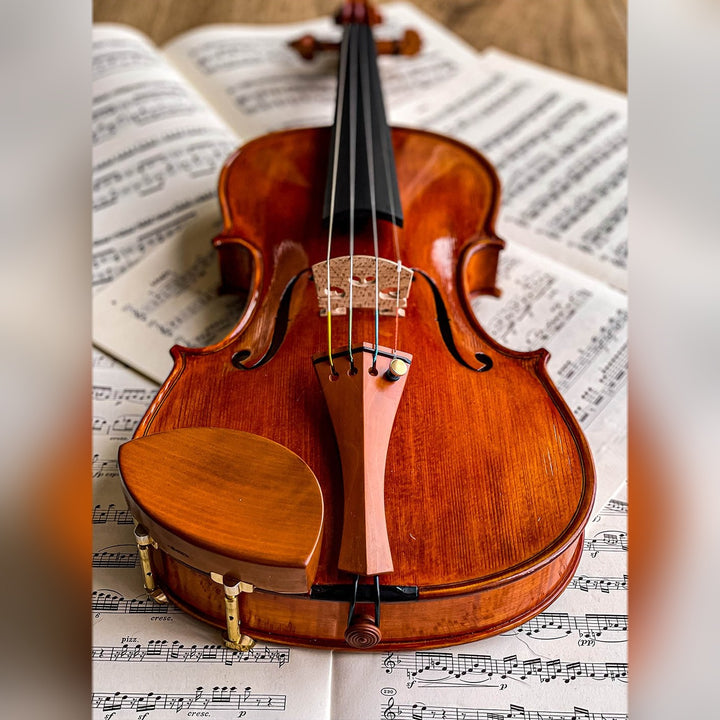 Kaufmann Chinrest Violin Boxwood, ZK-1591G