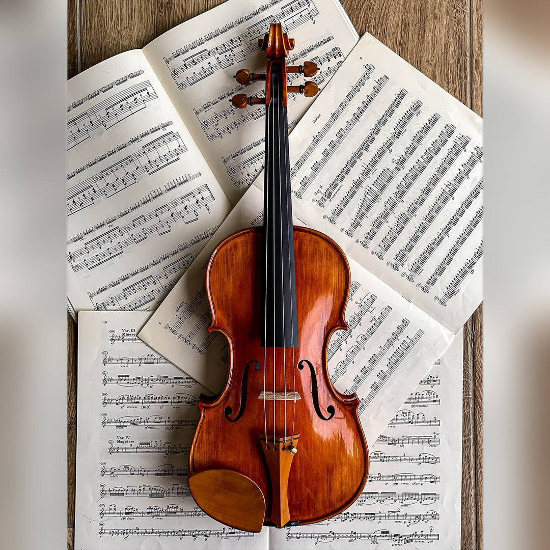 Kaufmann Chinrest Violin Boxwood, ZK-1591G