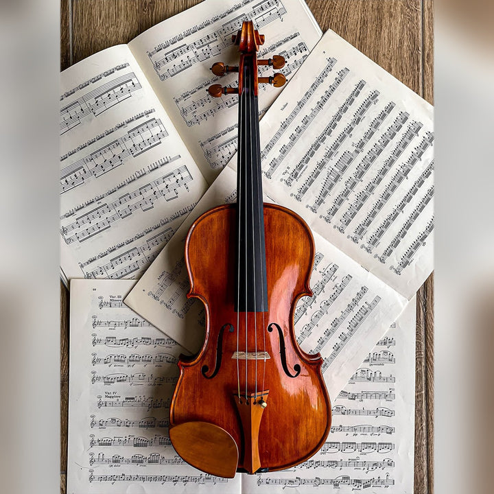 Kaufmann Chinrest Violin Boxwood, ZK-1591G