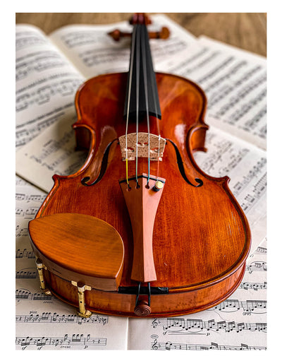 Kaufmann Kinnhalter Violine Buchsbaum