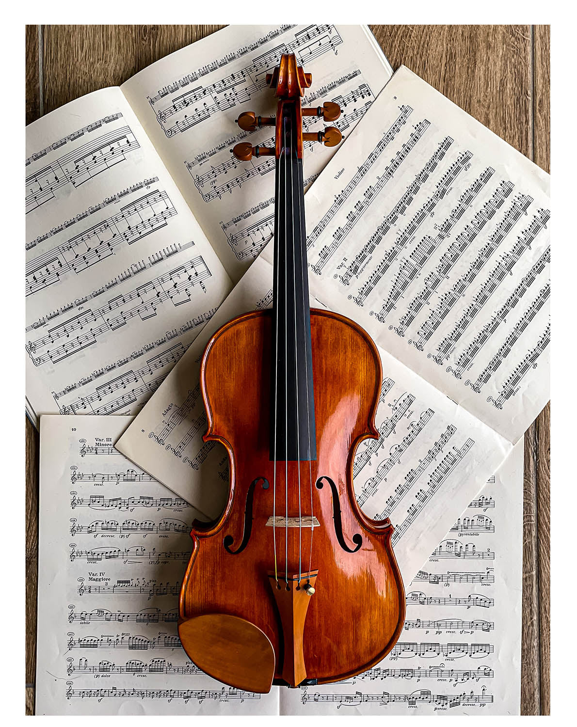 Kaufmann Kinnhalter Violine Buchsbaum