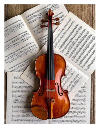 Kaufmann Kinnhalter Violine Buchsbaum