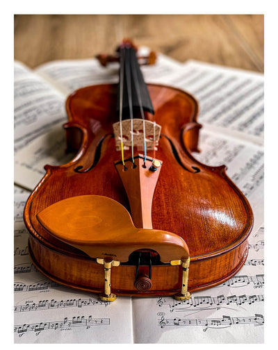 Stradivari Kinnhalter Violine Buchsbaum