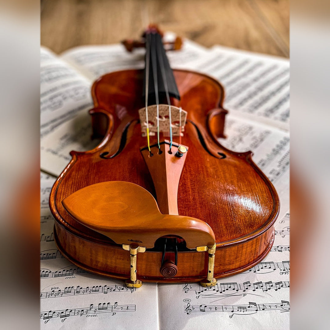 Stradivari Kinnhalter Violine Buchsbaum, ZK-1594G