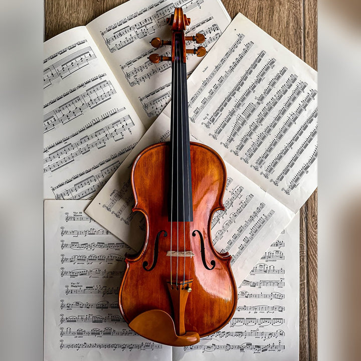 Stradivari Kinnhalter Violine Buchsbaum, ZK-1594G