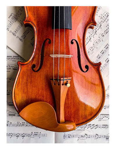 Stradivari Kinnhalter Violine Buchsbaum