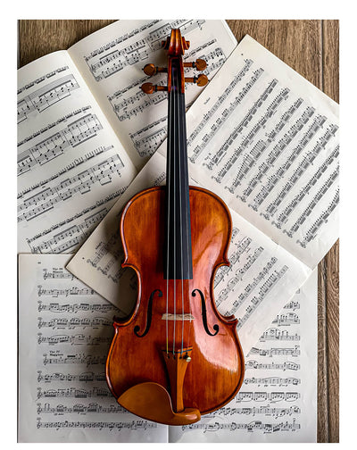 Stradivari Kinnhalter Violine Buchsbaum