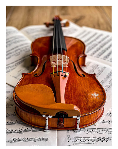 Guarneri Kinnhalter Violine Buchsbaum