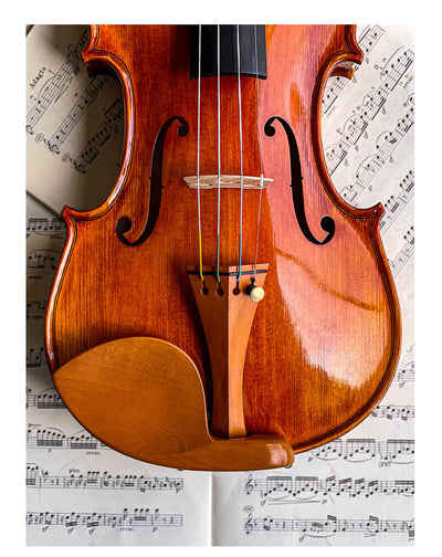 Guarneri Kinnhalter Violine Buchsbaum
